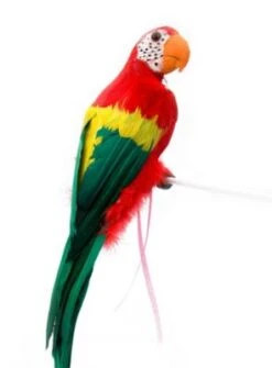 Boland Piraten Papagei