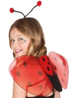 Boland Marienkäfer Accessoire Set