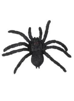 Boland 12 Schwarze Spinnen -Boland Store 22696592 03