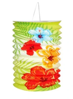 Boland 2 Südsee Lampions 2 Boland 2 Südsee Lampions – Bild 2