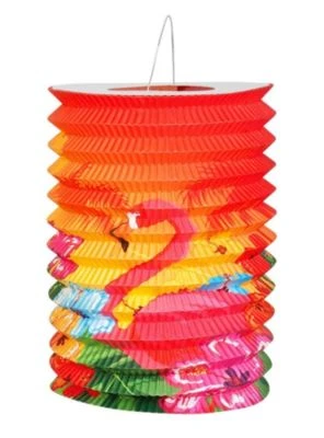 Boland 2 Südsee Lampions 3 Boland 2 Südsee Lampions – Bild 3