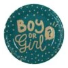 Boland 10 Boy Or Girl Pappteller