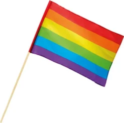 Boland Regenbogen-Schwenkfahne 76x45cm