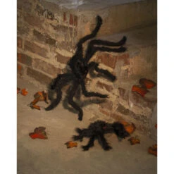 Boland Spinne - Ca. 30 Cm